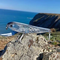Waylander Wayward 120LF 12cm/30g